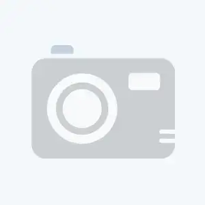 <h4>DRIED HYDRANGEA ANTIQUE GOLD</h4>